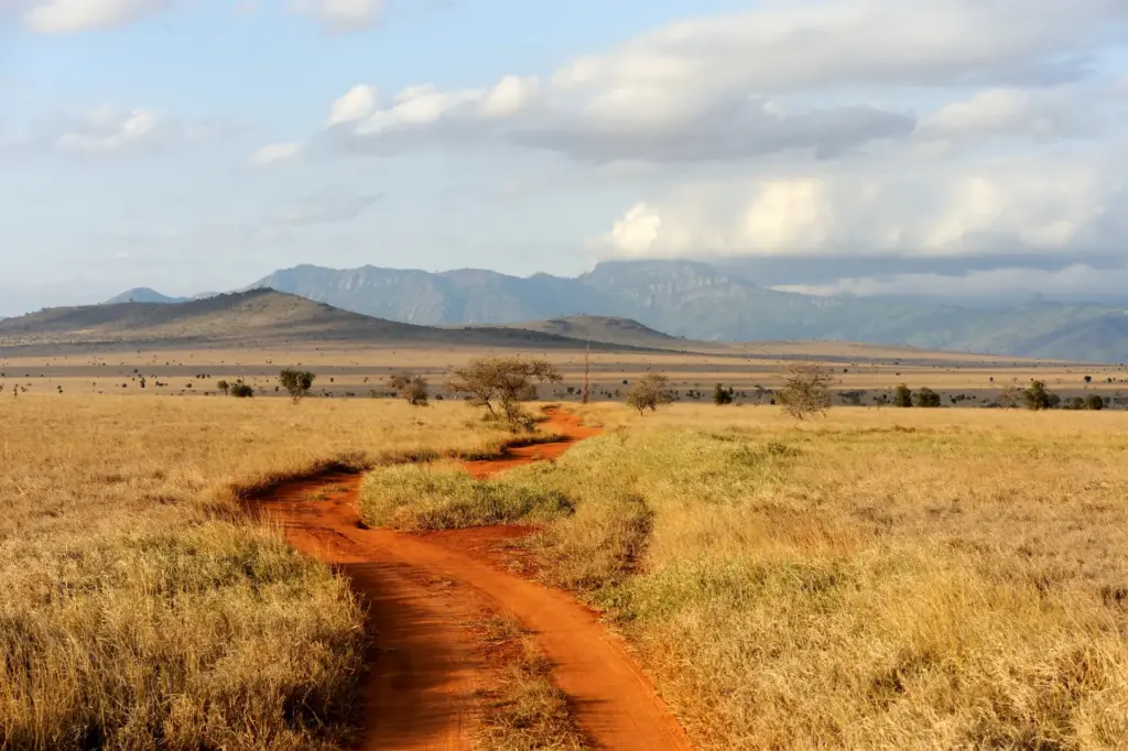Why Travel Vaccines Matter: What to Know Before Your Trip 1 savannah landscape national park kenya africa 1